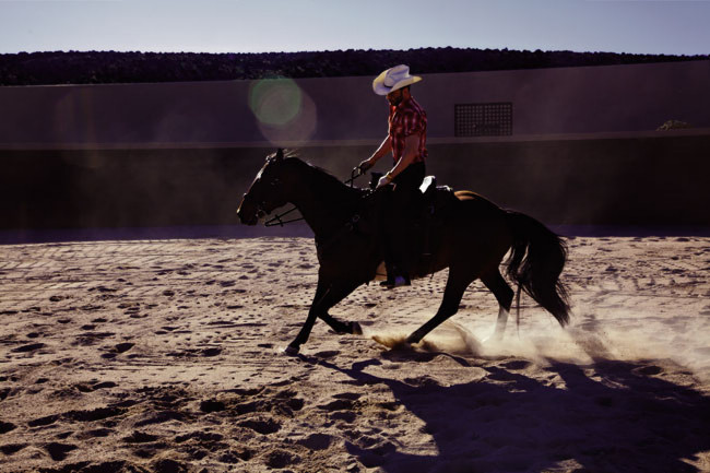 Lisa Eisner, Tom Ford & His Sante Fe Ranch for GQ Australia featured image